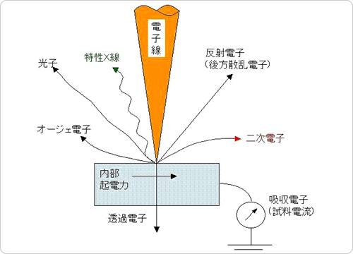 Fig.1 電子線照射による電子情報