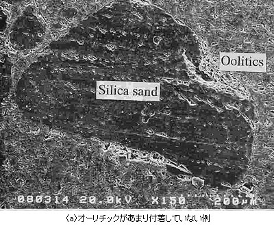 オーリチックがあまり付着していない例