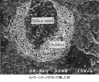 オーリチックが多く付着した例